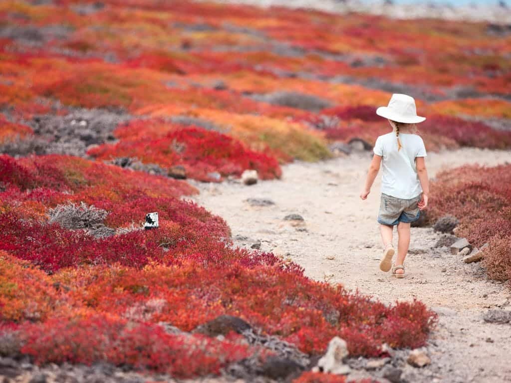 Family, South Plaza Island, Galapagos Islands