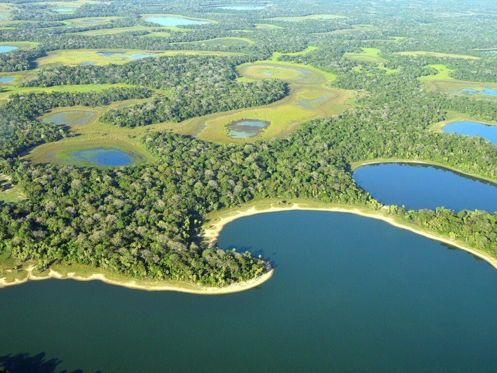 Southern Pantanal, Brazil