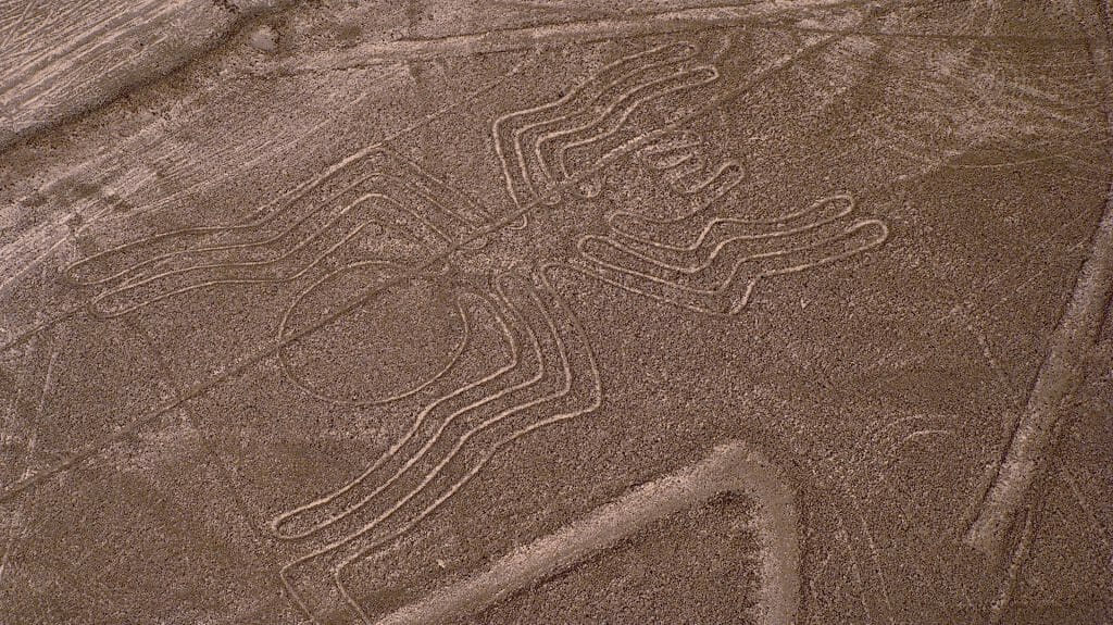 Spider, Nazca Lines, Nazca, Peru