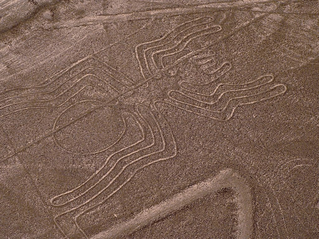 Spider, Nazca Lines, Nazca, Peru