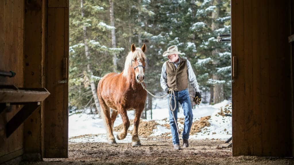 Lone Mountain Ranch - Big Sky, USA | Steppes Travel