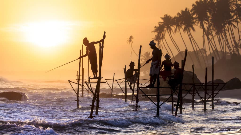 Stilt Fishermen, Galle, Sri Lanka