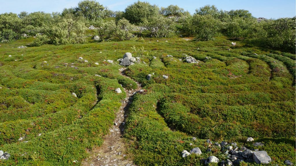 Stone labyrinths, Bolshoi Zayatsky Island, Russia