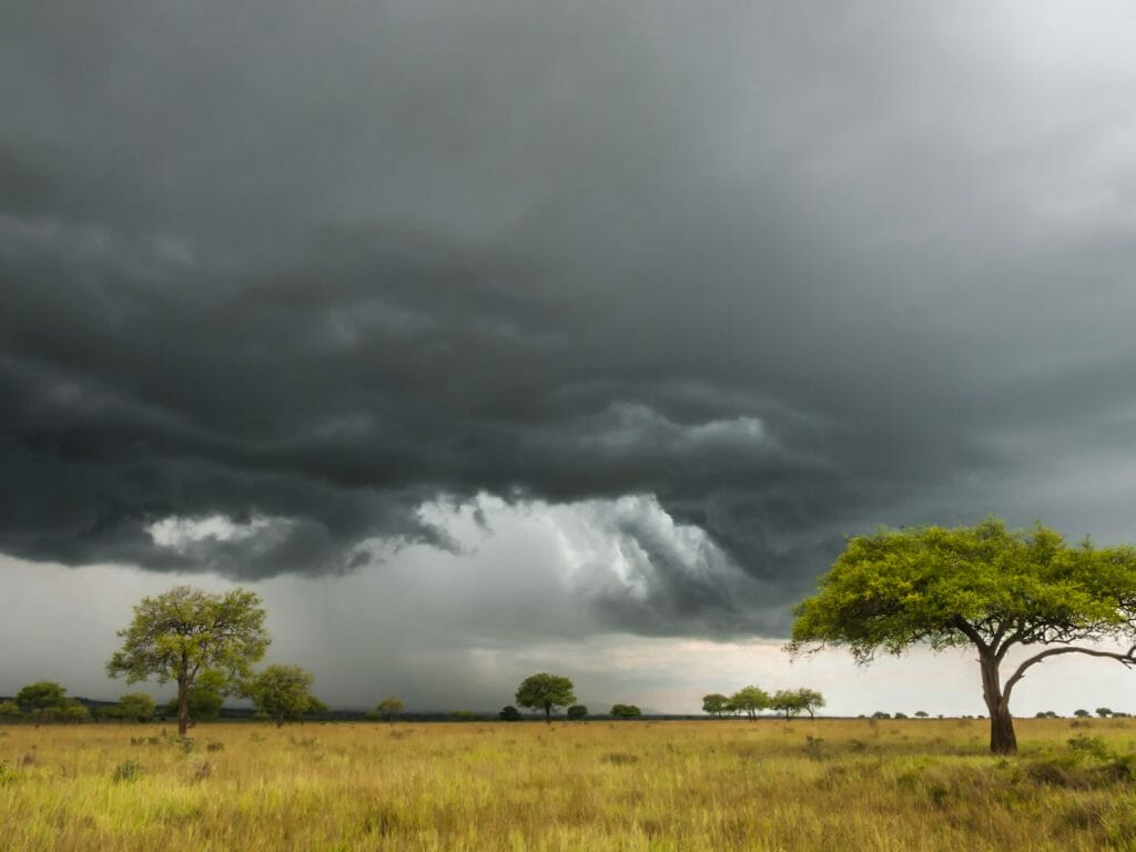 Storm, Kidepo, Uganda