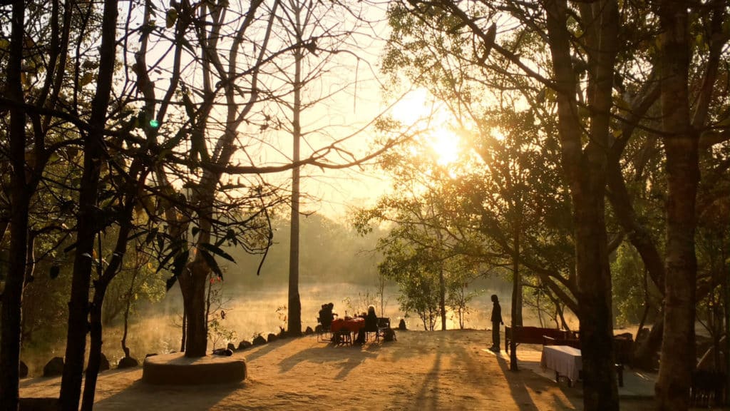 Kanha National Park, India