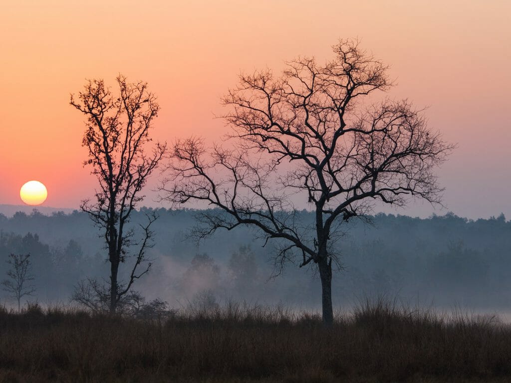 Sunrise, Kanha National Park, India