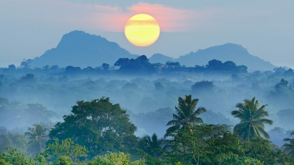 Sunrise over Jungle, Sri Lanka