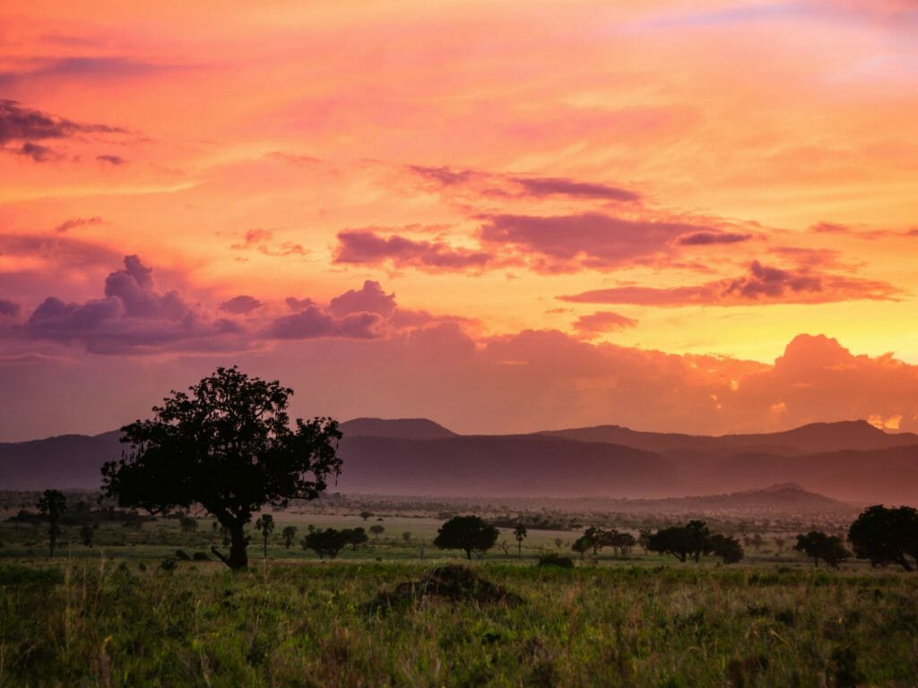 Sunset, Kidepo, Uganda