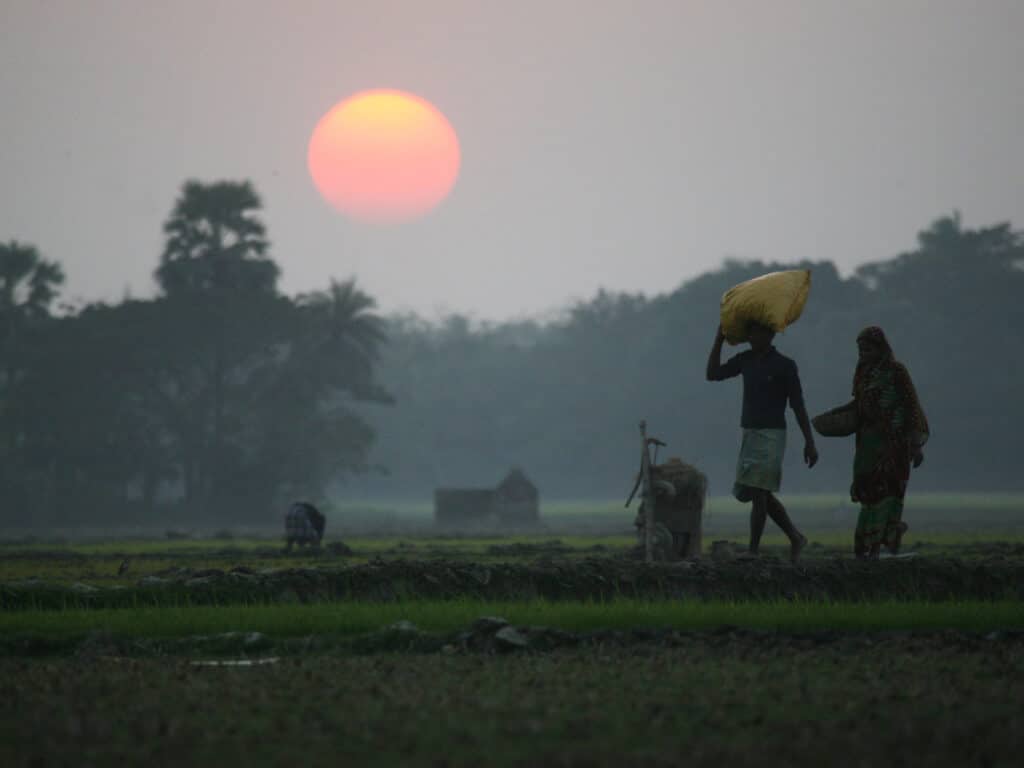 Sunset, Sundarbans, Bangladesh