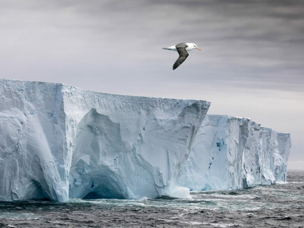 Tabular iceberg