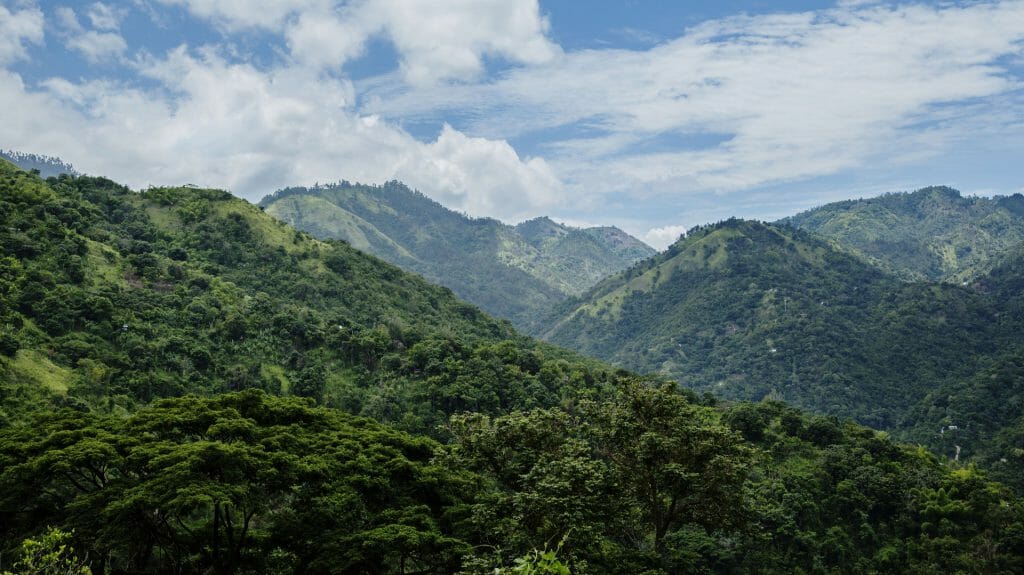 Blue Mountains, Strawberry Hill, Jamaica