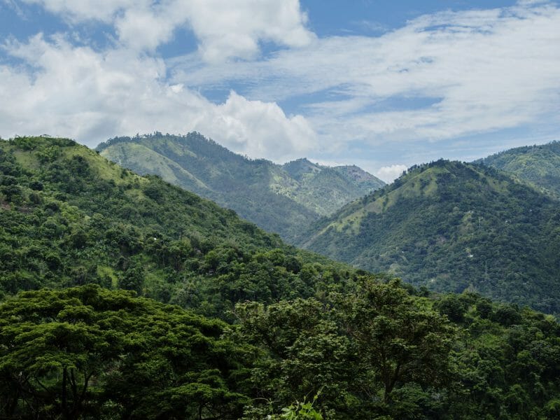 Blue Mountains, Strawberry Hill, Jamaica