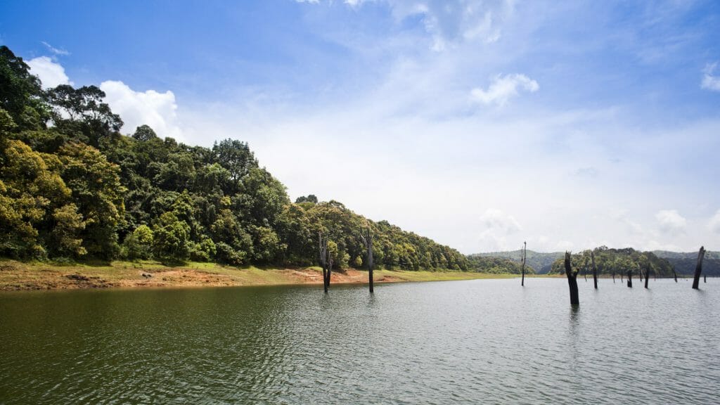 Thekkady Lake, India