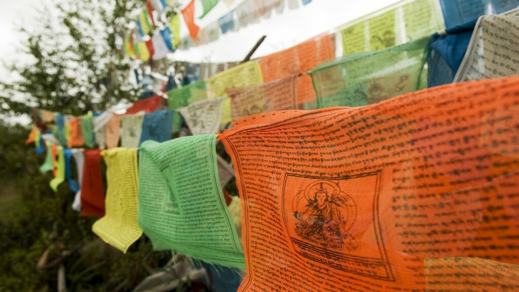 Tibetan Flags Ringha Temple, Banyan Tree Ringha, Shangri La, China