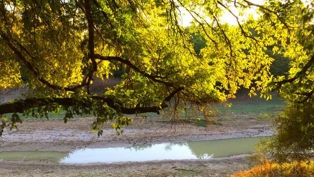 Tinga Lodge, Zakouma, Chad