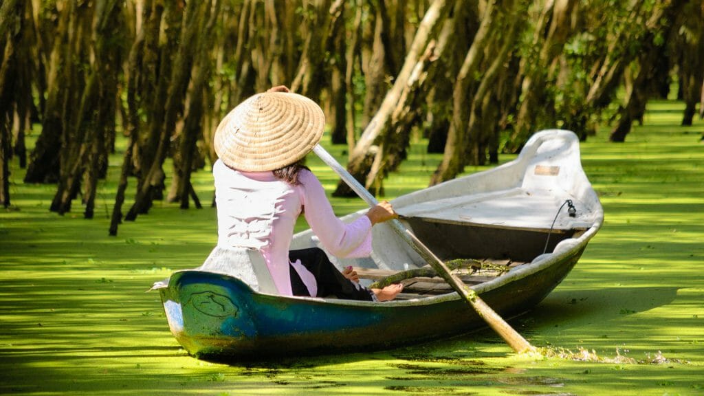 Tra Su Floodede Forest, An Giang, Mekong Delta, Vietnam