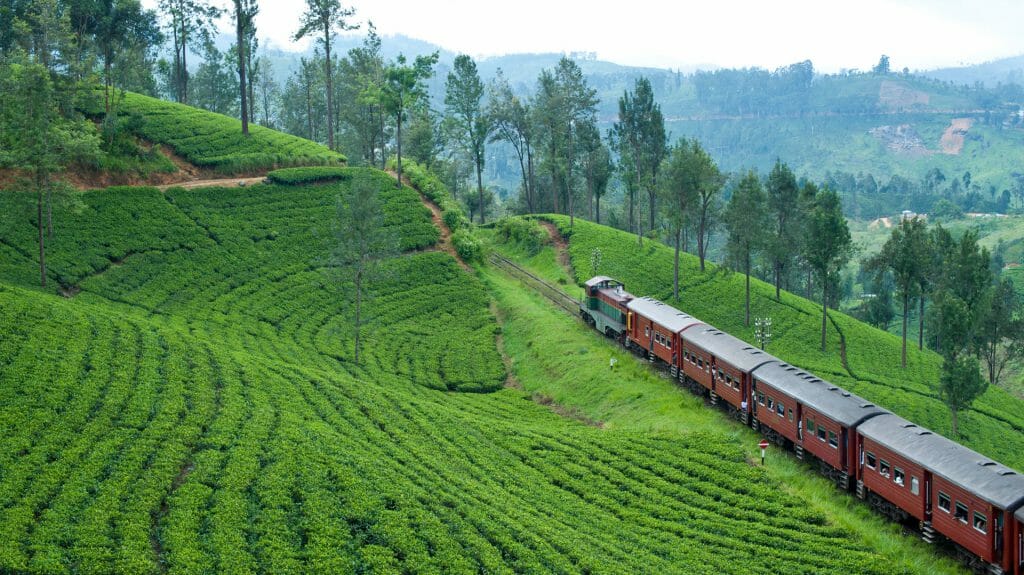 Train from Kandy to the Tea Country, Kandy, Sri Lanka
