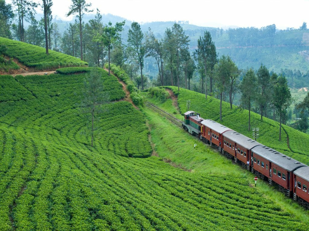 Train from Kandy to the Tea Country, Kandy, Sri Lanka