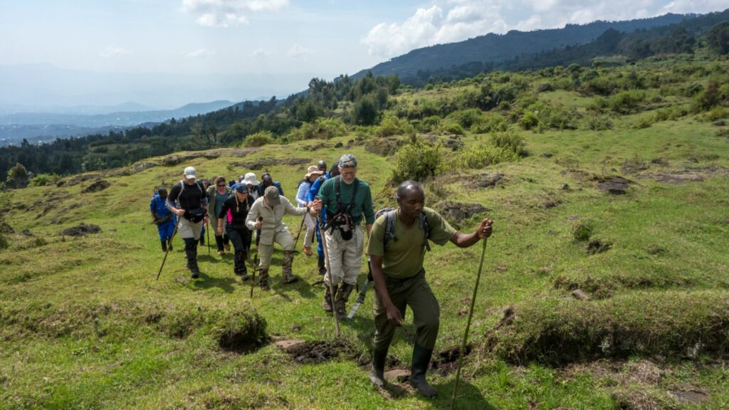 Gorilla Tracking, Volcanoes National Park, Rwanda