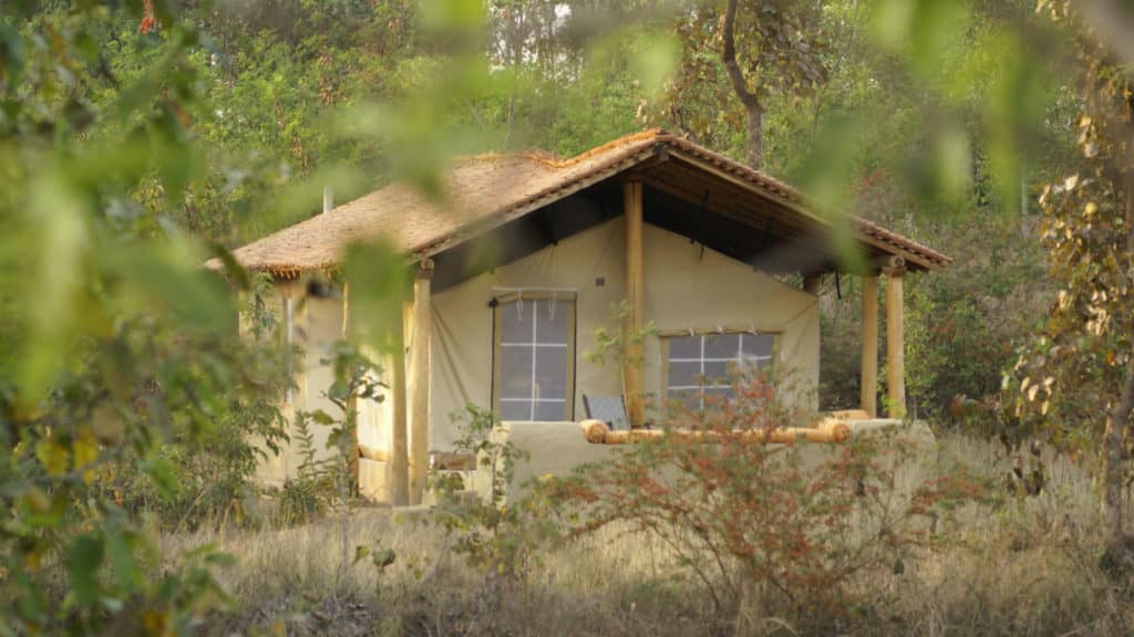 Kanha National Park, India