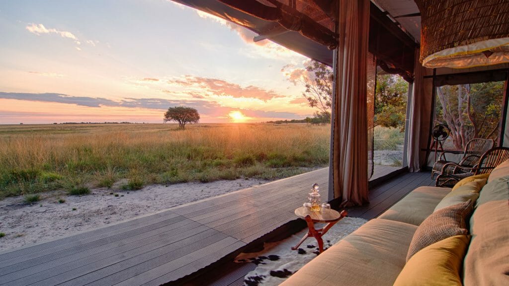 King Lewanika, Liuwa Plains, Zambia