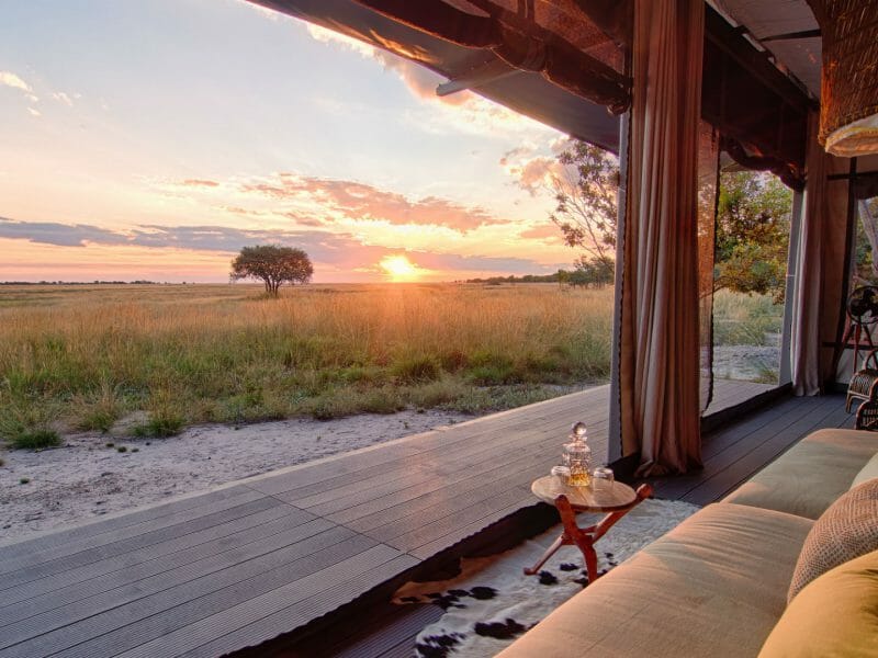 King Lewanika, Liuwa Plains, Zambia