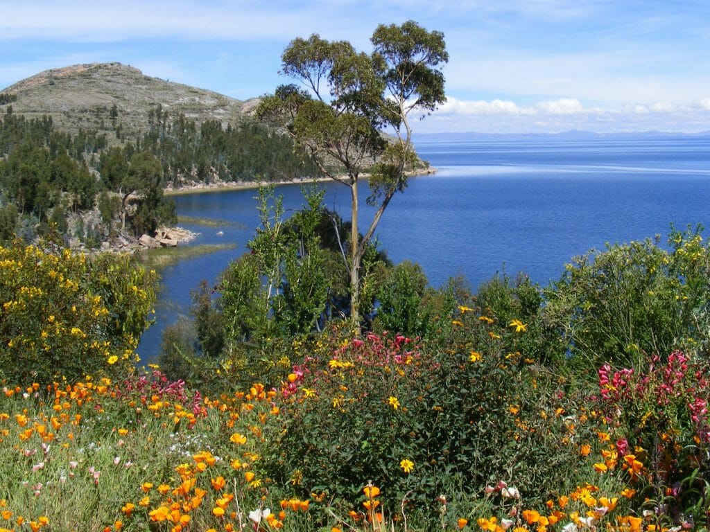 Lake Titicaca, Suasi Island, Peru