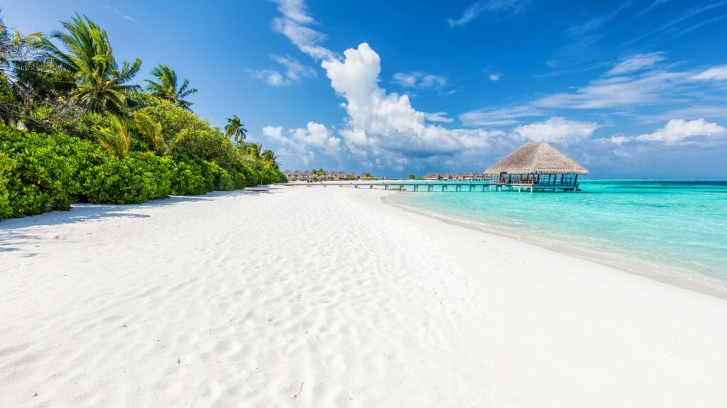 View of the beach, Maldives