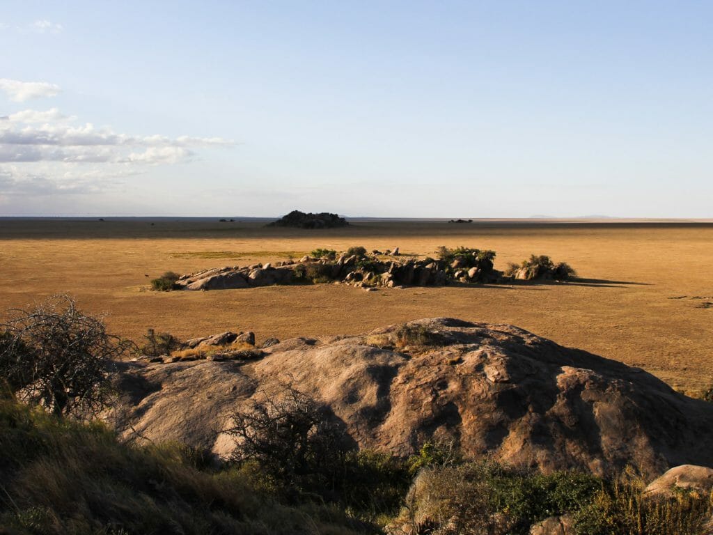 Views, Namiri Plains Camp, Serengeti National Park, Tanzania