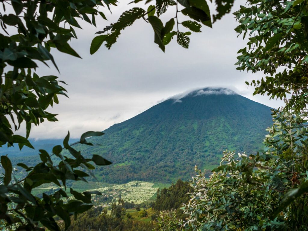 Volcanic Views, Volcanoes National Park, Rwanda