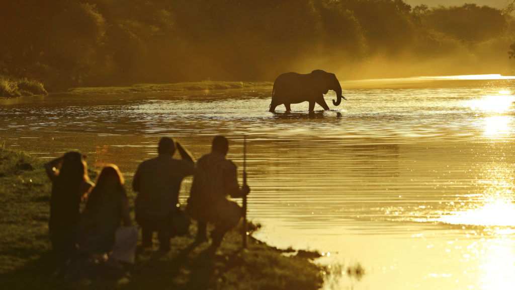 Chongwe River Camp, Lower Zambezi, Zambia