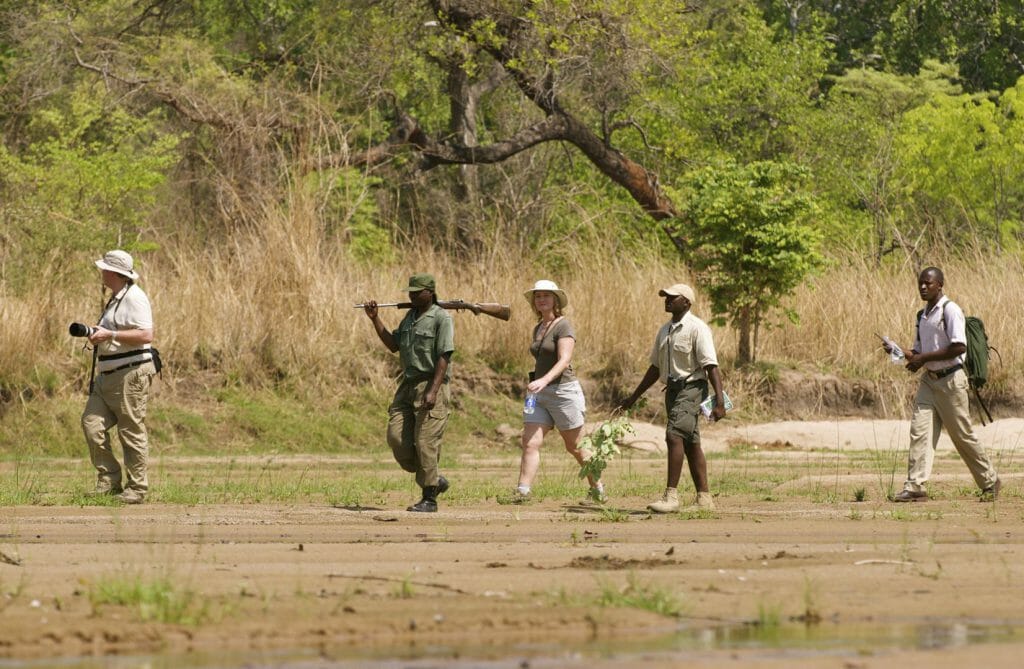 Walking Safari, Bushcamp Company, South Luangwa, Zambia