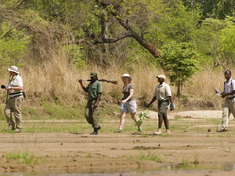 Walking Safari, Bushcamp Company, South Luangwa, Zambia
