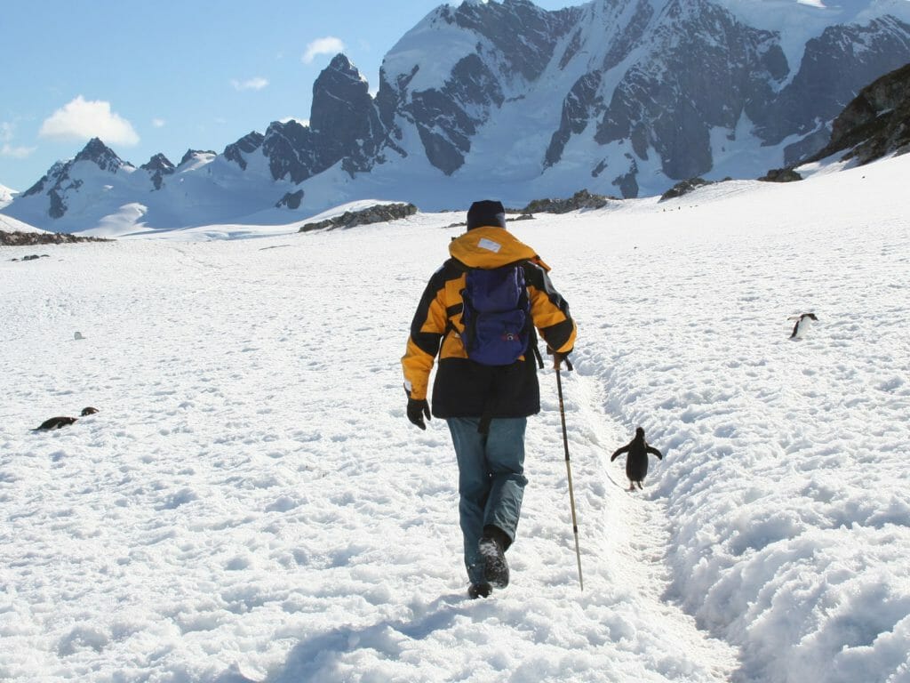 Walking with Penguins, Antarctica