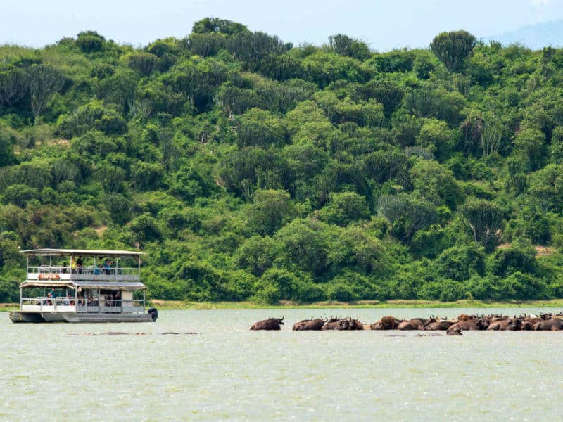 Water Safari, Kyambura Gorge Lodge, Queen Elizabeth Natioinal Park, Uganda