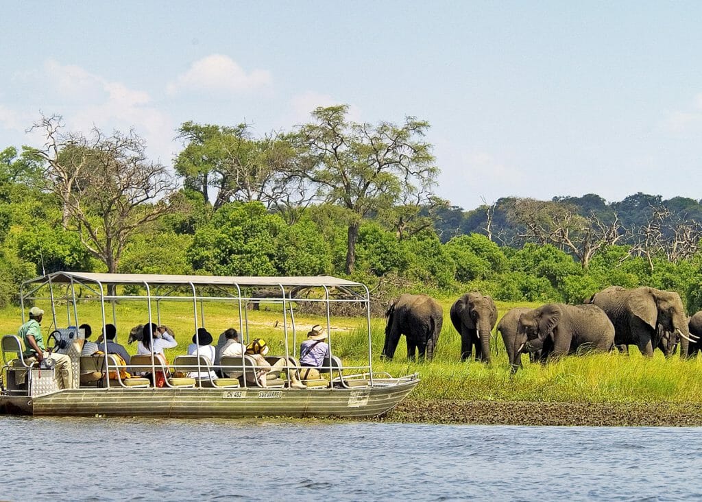Water safari, Things to do Victoria Falls, Zimbabwe