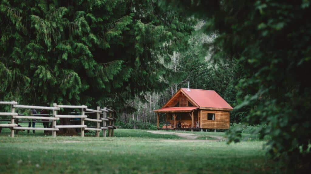 Wild Bear Lodge Cabin