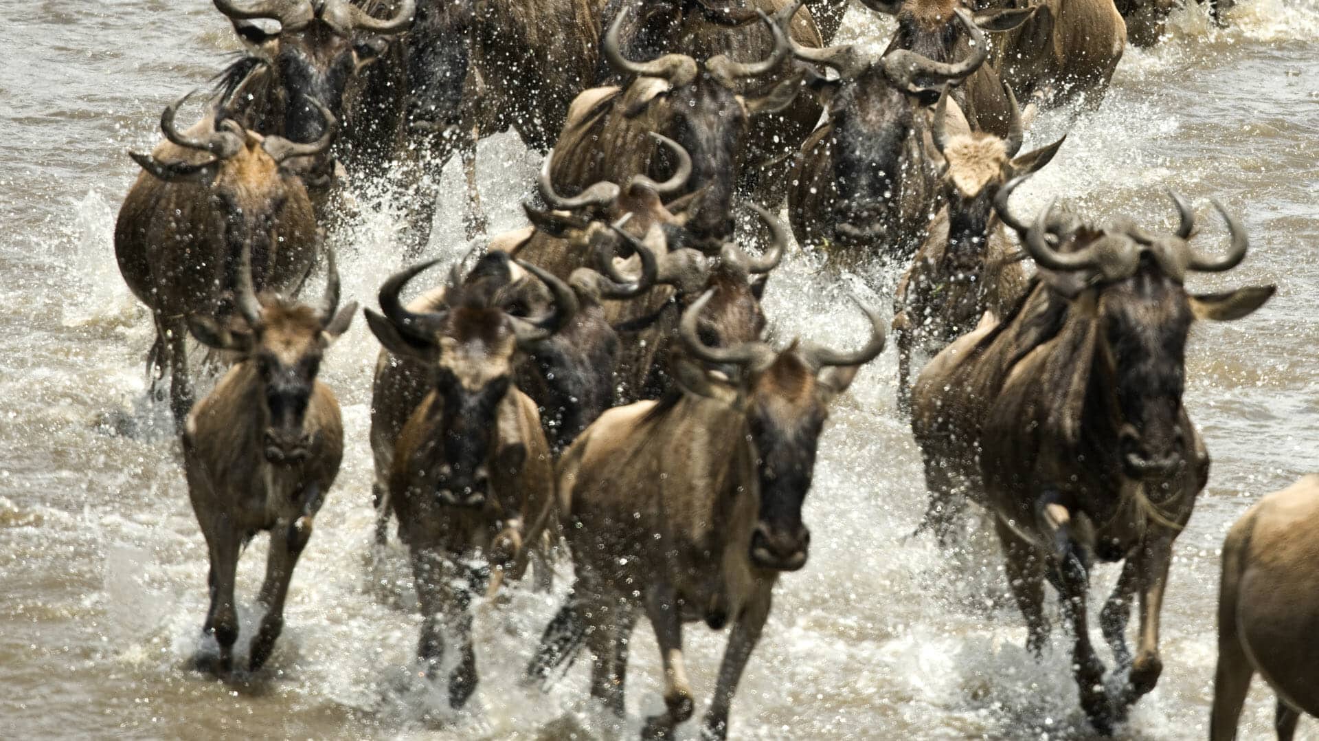 The Best Time to Visit Tanzania | When to go - Steppes Travel
