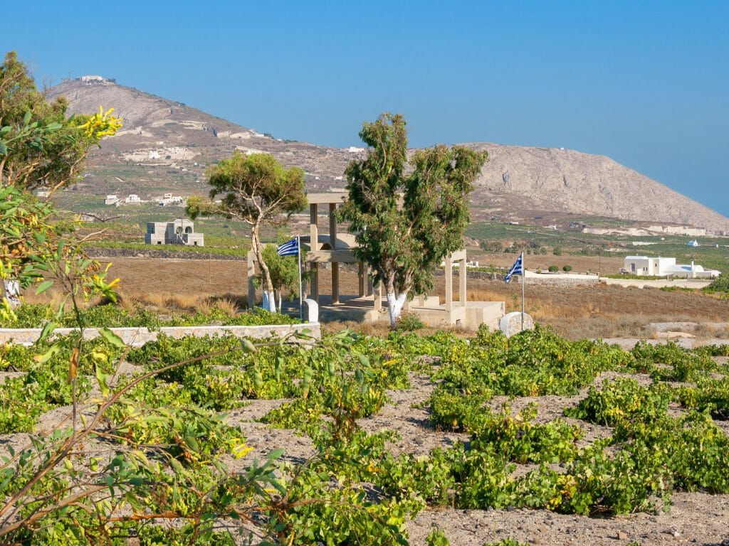 Wine Vineyard, Santorini, Greece