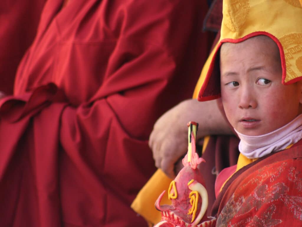 Young Boy Monk, Leh, Ladakh, Kashmir, India