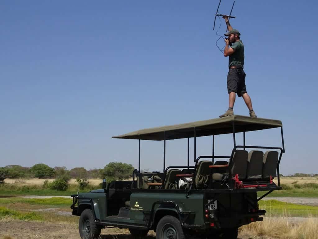 Zambia Carnivore Programme, Liuwa Plains National Park, Zambia