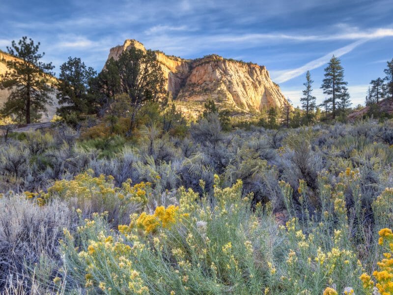 Zion National Park, Utah, USA