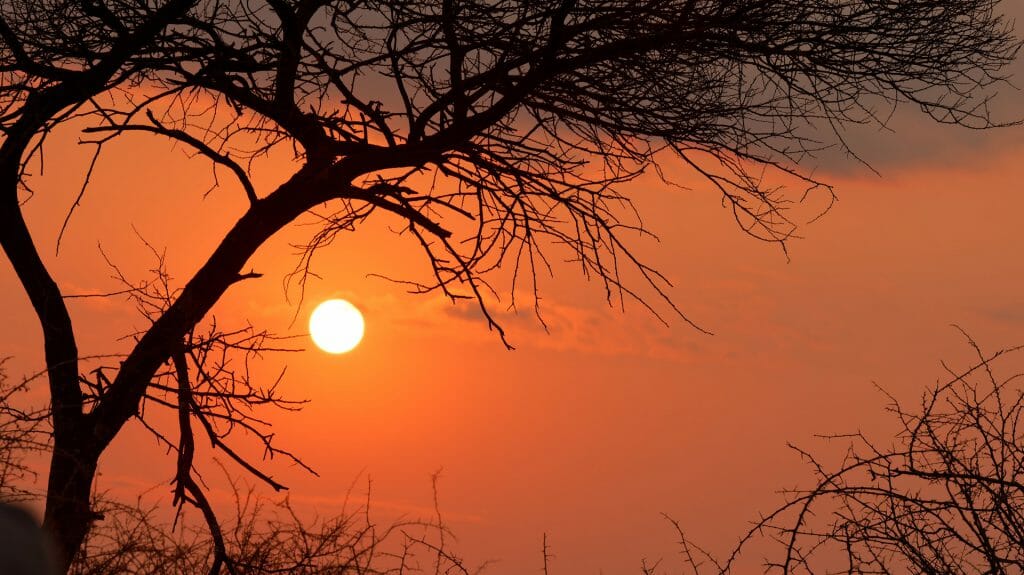African sunset, Madikwe Game Reserve, South Africa
