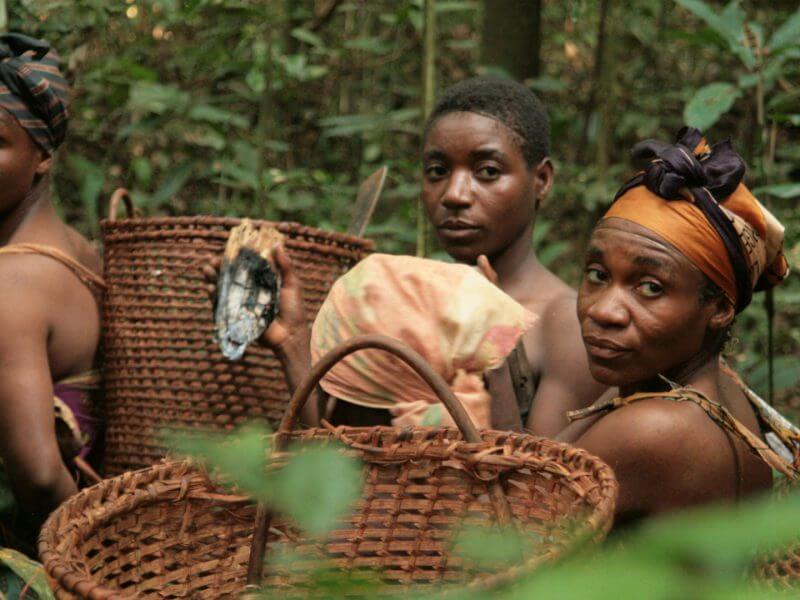 Baka women in the forest, Cameroon