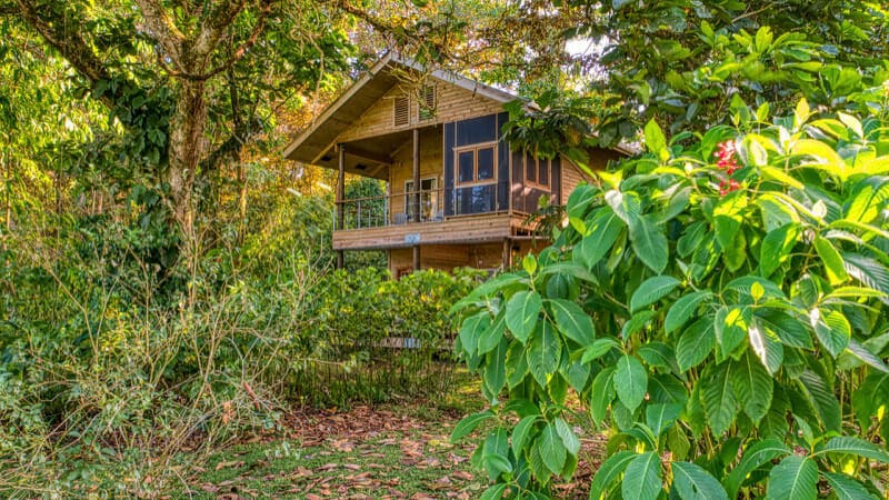 Tranquilo Bay, Bocas del Toro, Panama