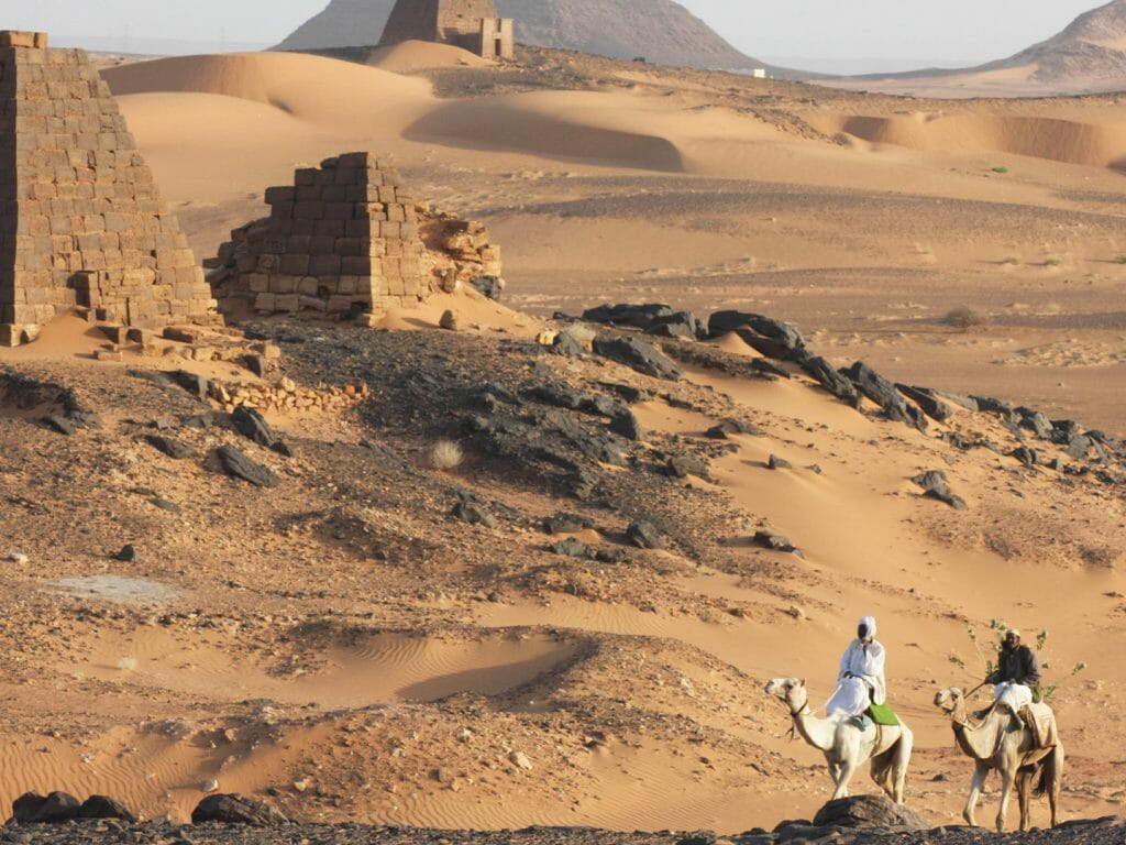 Camels, Meroe, Sudan