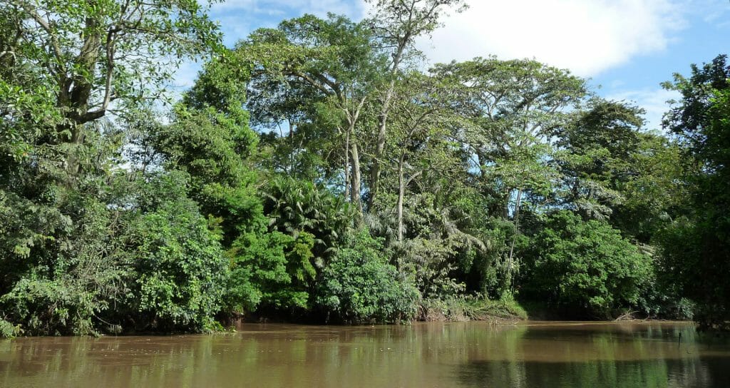 Caño Negro Natural Lodge, Cano Negro, Costa Rica
