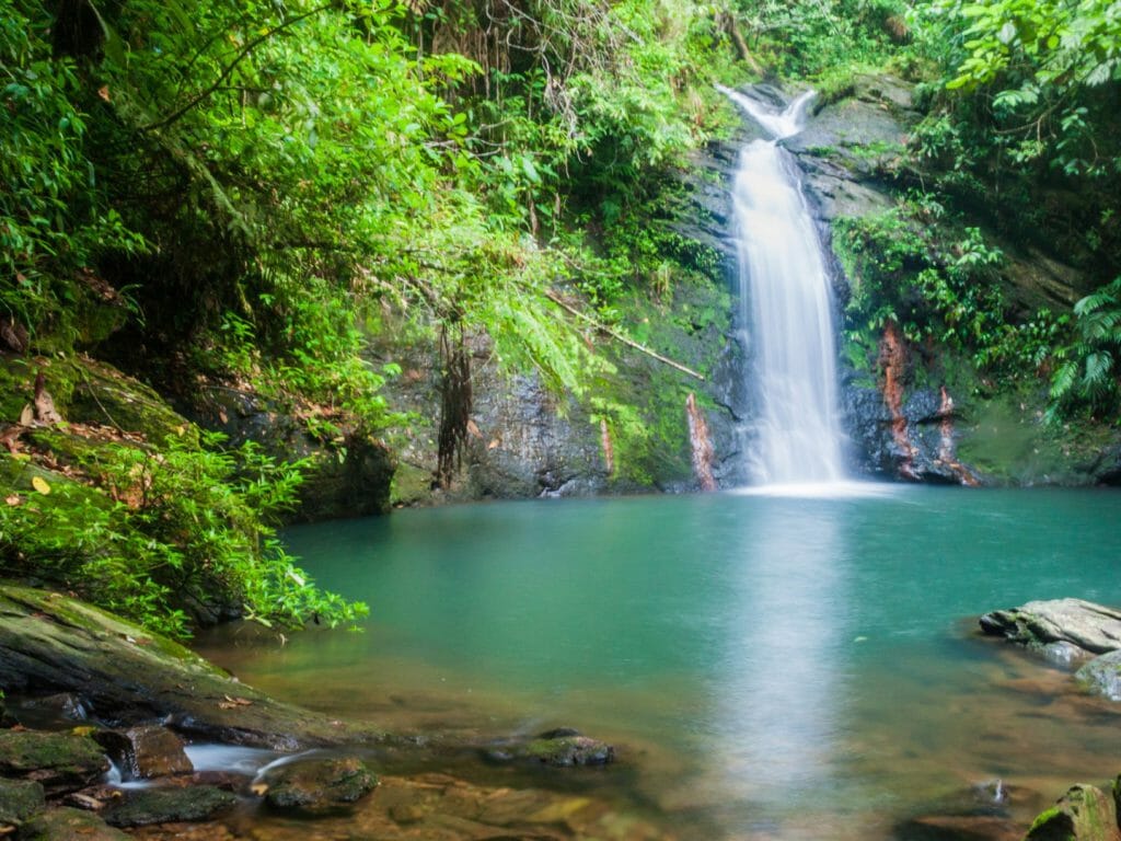 Tiger Fern Waterfall, Cockscomb Basin Wildlife Sanctuary, Belize