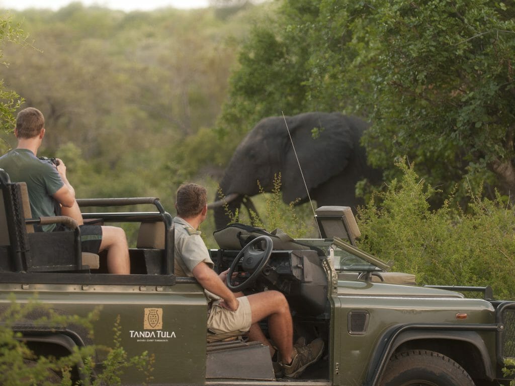 Game Drive, Tanda Tula Safari Lodge, Western Kruger Private Reserves