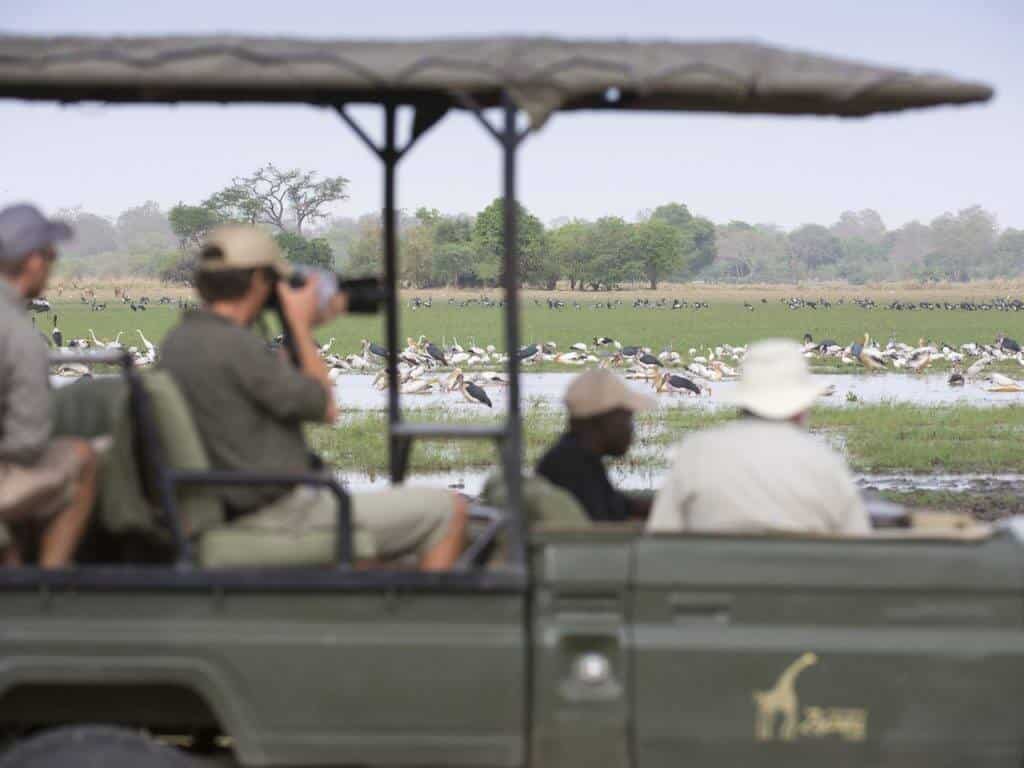 game drive, Zakouma, Chad